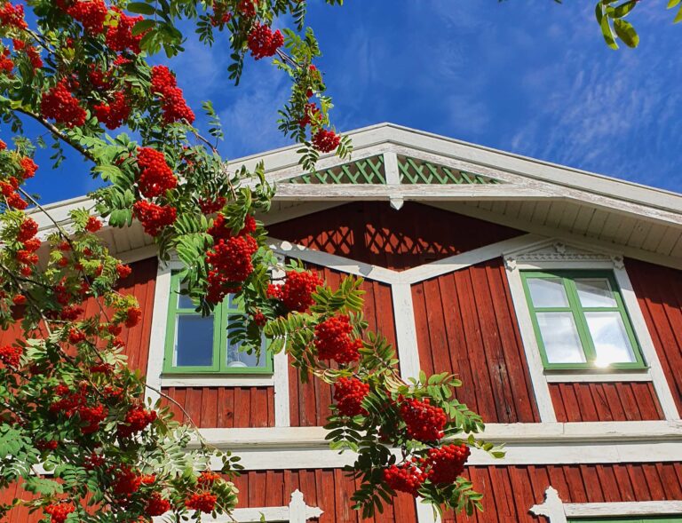 wycieczka do sztokholmu - skansen